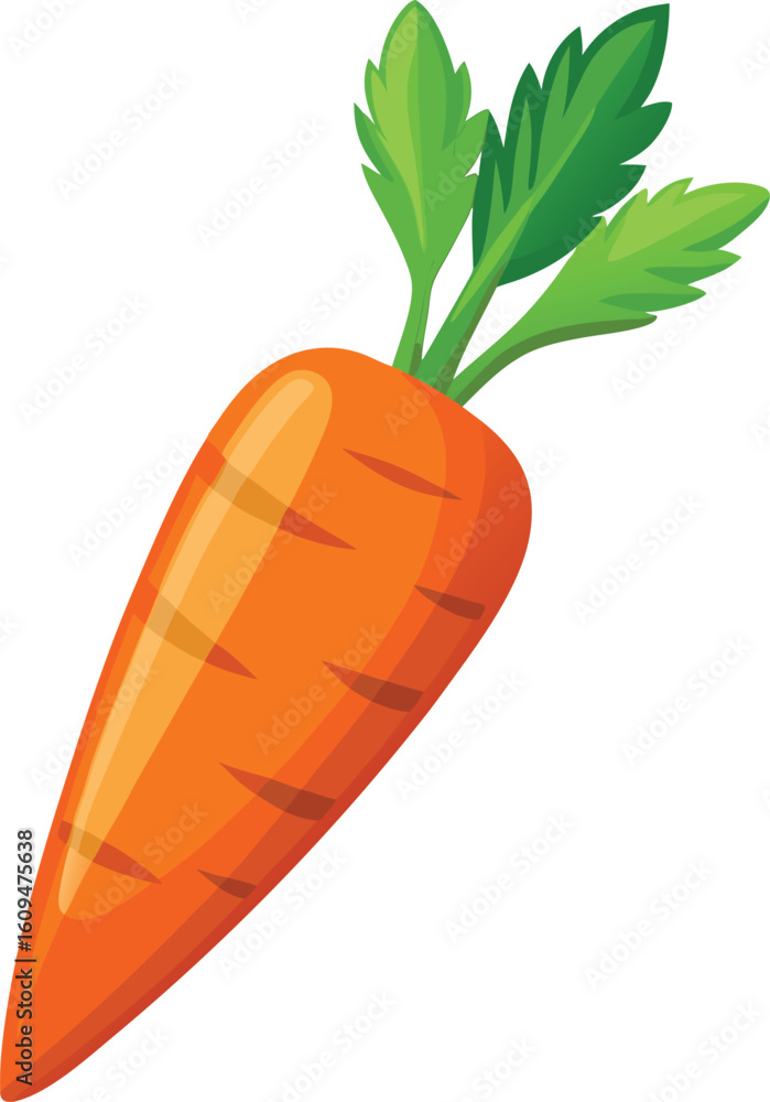 Fresh organic carrot with green top isolated on white background vector illustration Fresh organic carrot with green top isolated on white background vector illustration