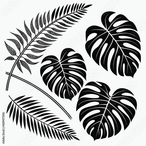 Monstera deliciosa tropical leaves vector illustration botanical foliage design element decorative leaf silhouette art - vector illustration