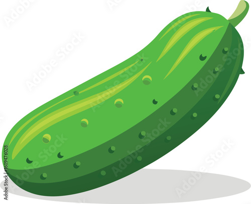 Fresh organic cucumber slice with textured green skin and seeds
