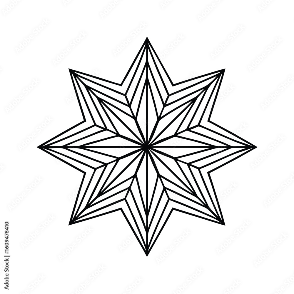 Fototapeta premium A beautiful star outline design