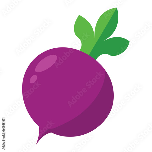 vector illustration of ripe plums