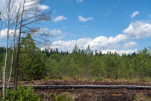 a bog, peat bog, Soumarské bog