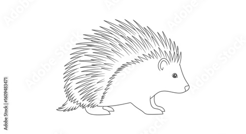 Spiky Porcupine Vector Outline for Woodland & Defensive Animal Coloring