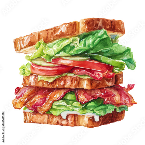BLT, watercolor painting, vector illustration, isolated on a white background.