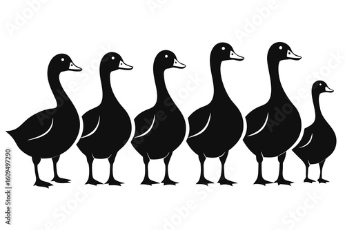 Six black silhouette geese standing in a row on white background