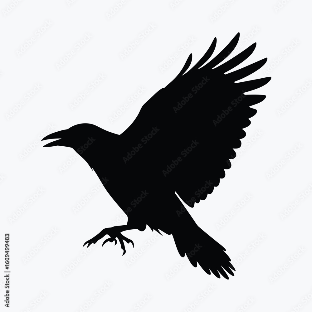 Obraz premium Flying Crow Silhouette Vector