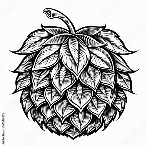 Detailed black and white illustration of a hop cone