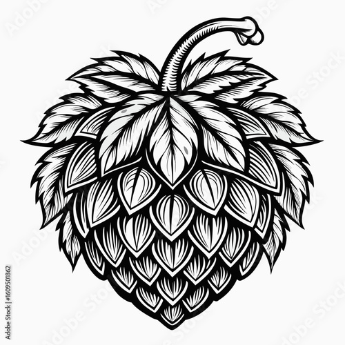 Detailed black and white hop cone illustration