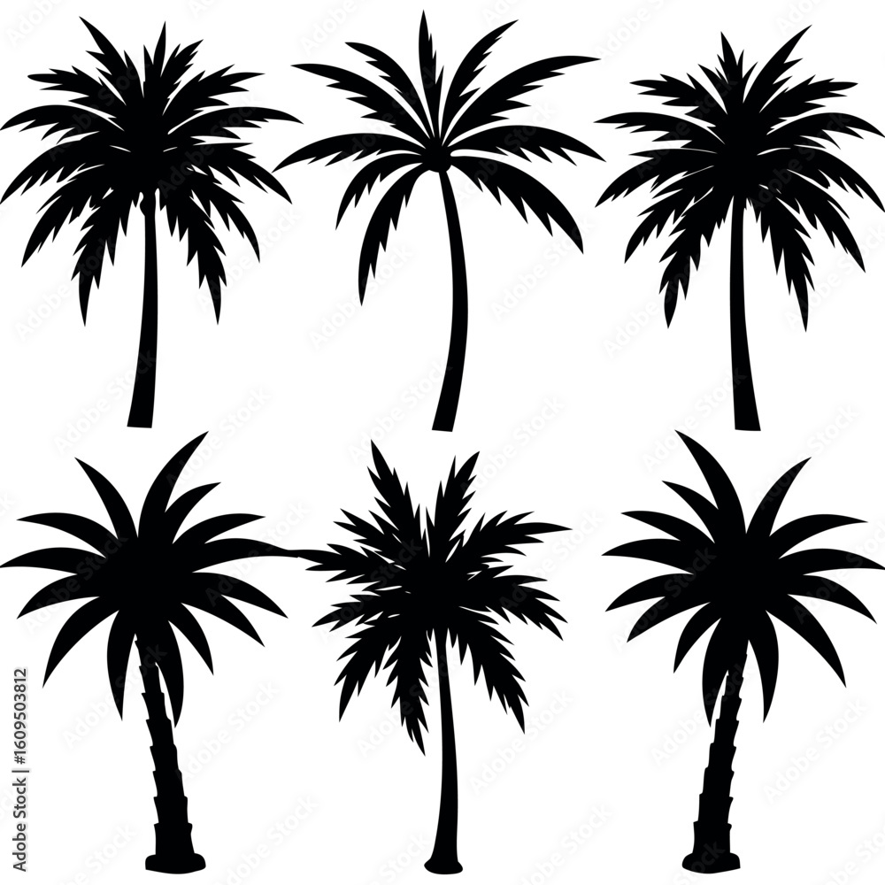 Fototapeta premium Collection of silhouetted palm trees