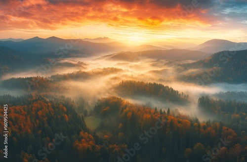 Fototapeta Naklejka Na Ścianę i Meble -  Morning scene of a misty forest in Poland's mountains