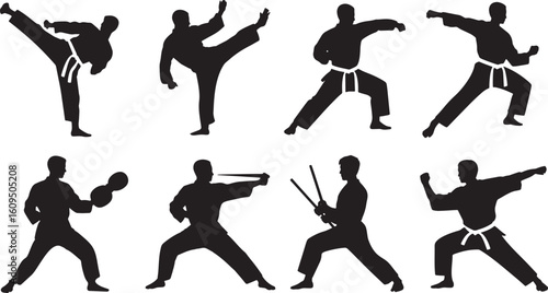 Martial Arts Silhouettes Vector Collection: Karate, Taekwondo, Kung Fu, Weaponry Forms