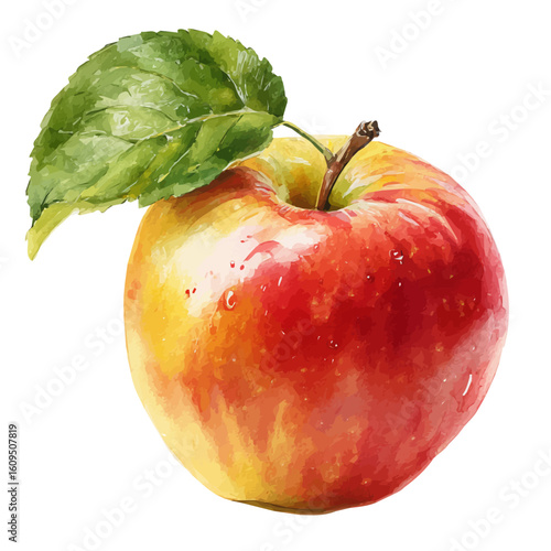 Local Apple, watercolor painting, vector illustration, isolated on a white background.