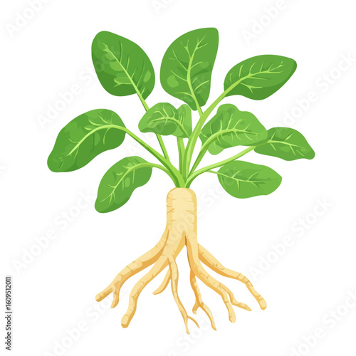  A Minimalistic 2D flat icon featuring ashwagandha root, clean vector design, simple illustration style, isolated on a white background, modern element in vector and EPS format. simple design