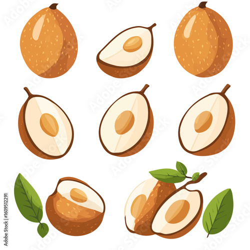  A Minimalistic 2D flat icon featuring sapodilla fruits set, clean vector design, simple illustration style, isolated on a white background, modern element in vector and EPS format. simple design