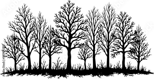 ree Silhouettes Bundle | Tree Vector Clipart