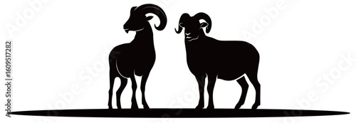 silhouette of a brave and gallant ram isolated on a white background. vector illustration of a brave and gallant ram