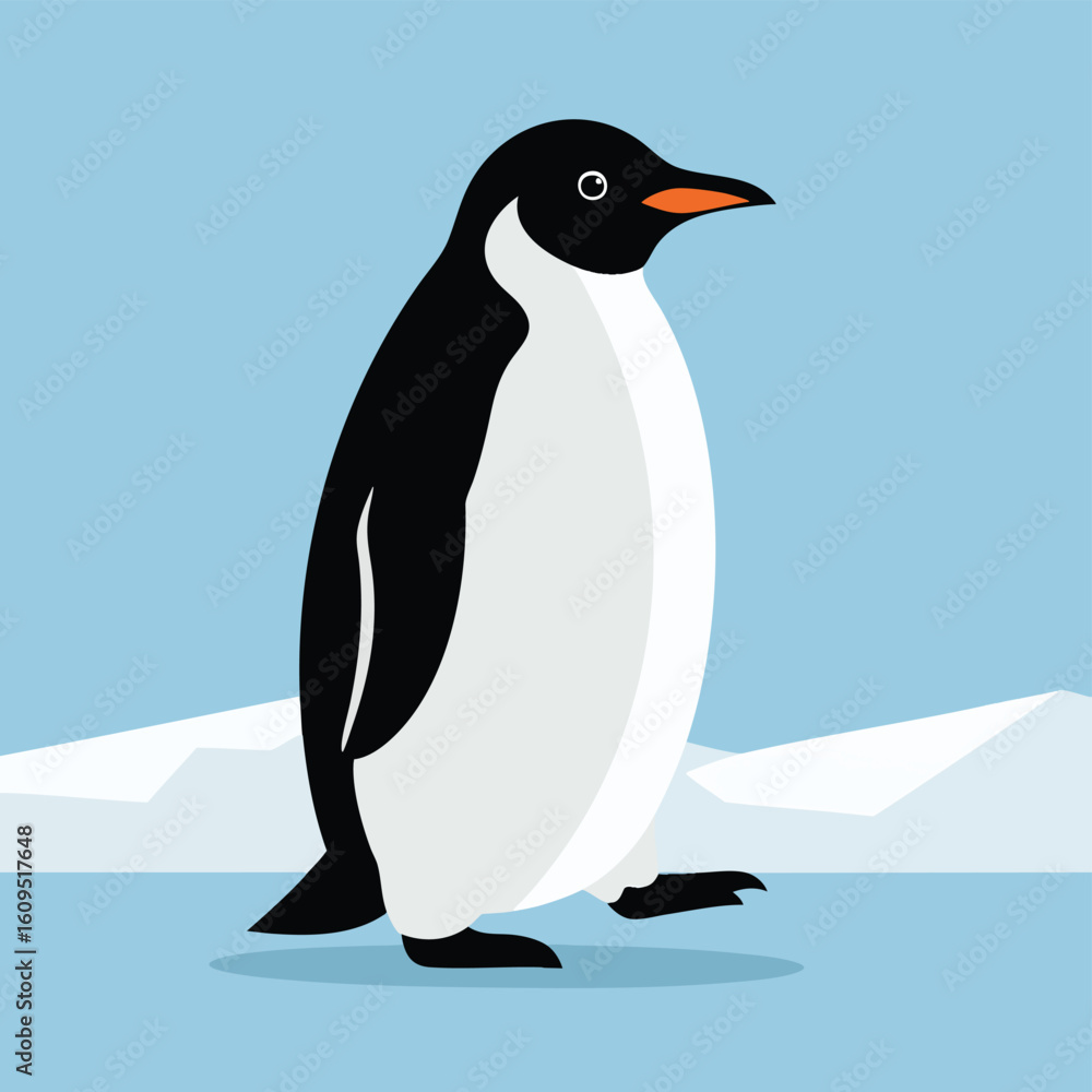 Fototapeta premium A cute flat design illustration of a black and white penguin walking in profile.