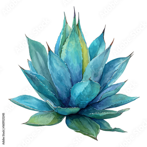 Watercolor vector illustration of Blue Agave, isolated on white background.