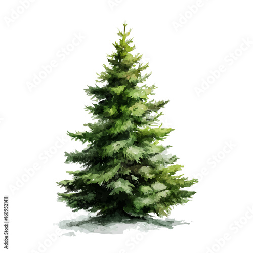 A watercolor painting of Christmas Tree, vector illustration on white background.