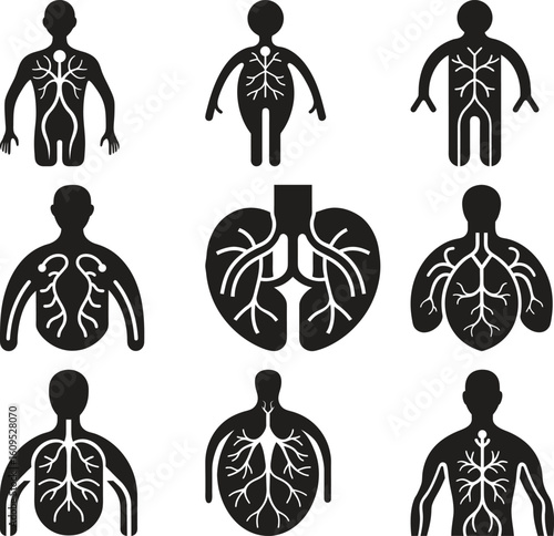 Vector Illustration of Human Anatomy Showing Blood Vessels and Lungs