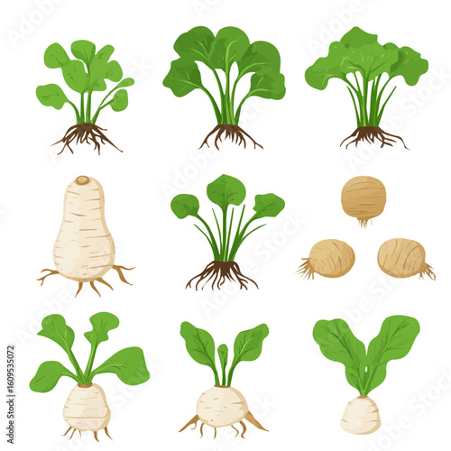 A Minimalistic 2D flat icon illustration of taro roots set, clean vector design, simple illustration style, isolated on a white background, modern element in vector and EPS format.