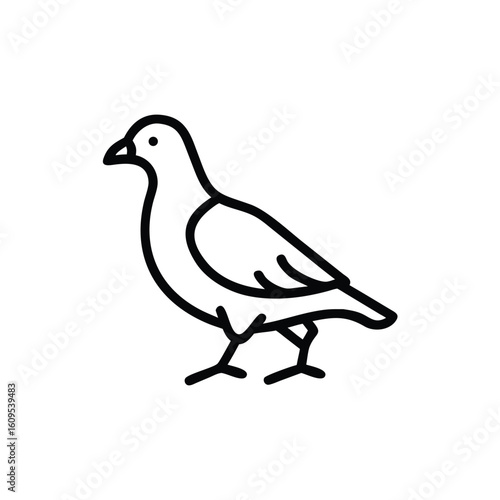 Outline icon a pigeon walking side view bird