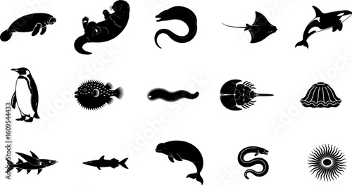 A collection of marine and aquatic animal silhouettes on a white background