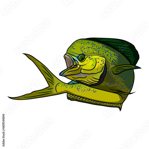 mahimahi dorado fishing illustration logo vector image t shirt
