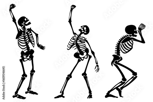 Three dancing skeletons in dynamic poses isolated on transparent background
