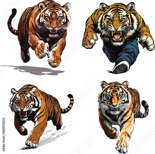 The tiger is running to catch the criminal vector style on white background