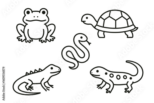 Cartoon line art reptiles and amphibians: frog, turtle, lizard, snake, salamander