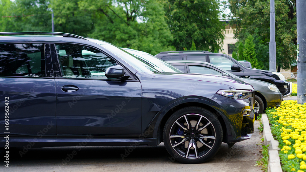 Luxury vehicles parked in a well-maintained outdoor area surrounded by greenery and flowers in summer Luxury vehicles parked in a well-maintained outdoor area surrounded by greenery and flowers in summer