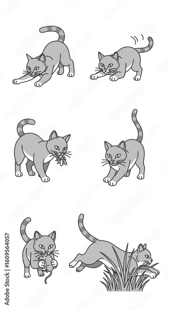 Obraz premium Six illustrations depict a gray cat in various poses: stretching, playing, catching a mouse, walking, carrying prey, and leaping over grass.