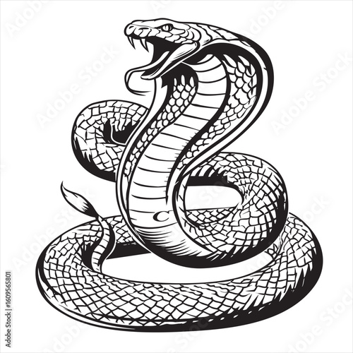 Striking Cobra Illustration: Black & White Venomous Snake Art