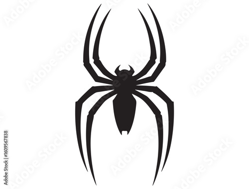 SPIDER SILHOUETTE