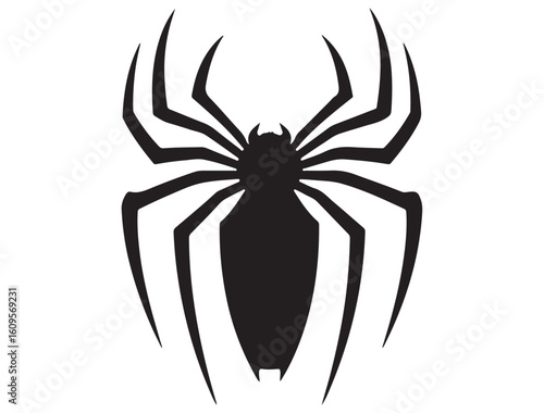 SPIDER SILHOUETTE