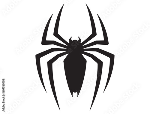 SPIDER SILHOUETTE