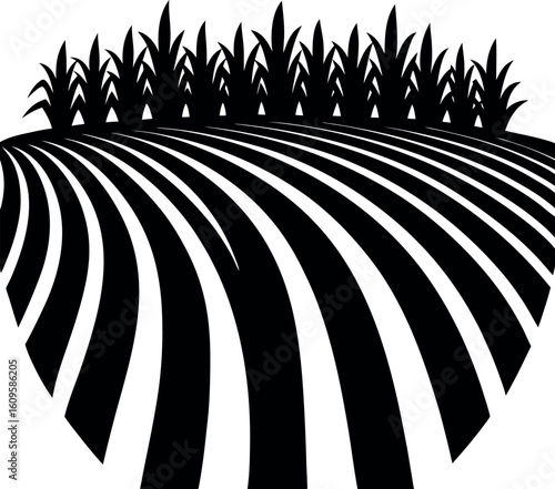 Cultivated agricultural land with stylized crops in a rhythmic pattern