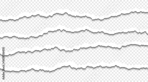 Ripped paper strips with rough torn edges