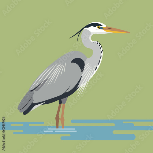 Grey Heron Standing in Water Flat Design.