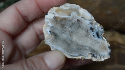 Geode mineral sample