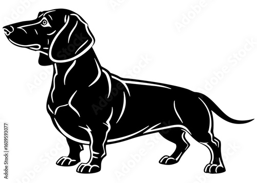 Black and white silhouette of a dachshund looking left