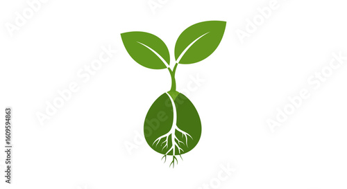 Stylized green sprout emerging from a germinating seed with two leaves and a visible white root system.