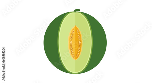 Vertically sliced green melon illustration with light green flesh and orange seed cavity.