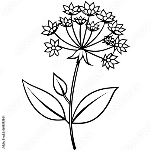 Vibrant Joe Pye Weed Blossom Illustration in Clean Style