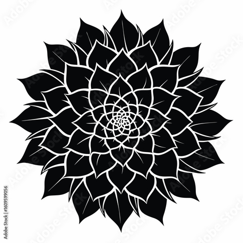 Elegant black and white floral pattern design featuring detailed petals and geometric symmetry on white