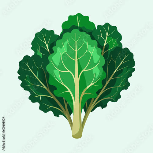 Fresh. vibrant kale bunch displayed against a plain background. Healthy leafy green vegetable ready for consumption.