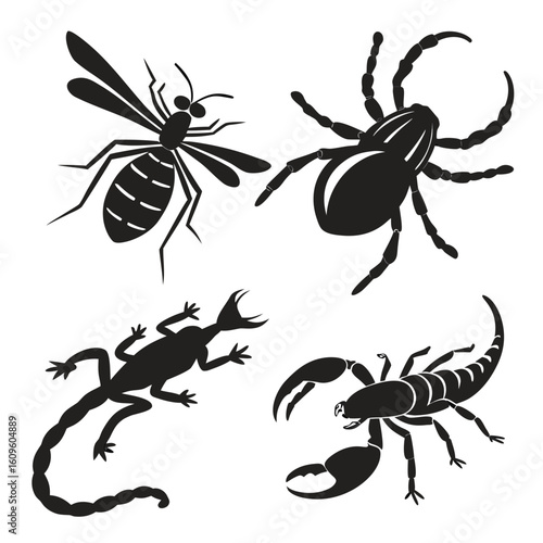 Black silhouettes of flying insect scorpion lizard and spider vector