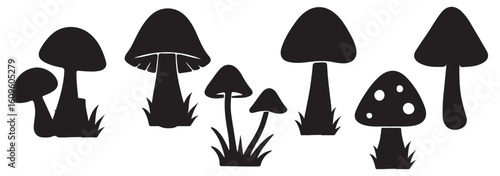 Set of natural and isolated mushrooms Black and light pink color, sprouts from the autumn forest. Seasonal hedgehog mushrooms, chanterelles, Vector flat illustration.   Nature illustration. Eps 10