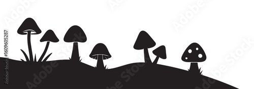 Set of natural and isolated mushrooms Black and light pink color, sprouts from the autumn forest. Seasonal hedgehog mushrooms, chanterelles, Vector flat illustration.   Nature illustration. Eps 10